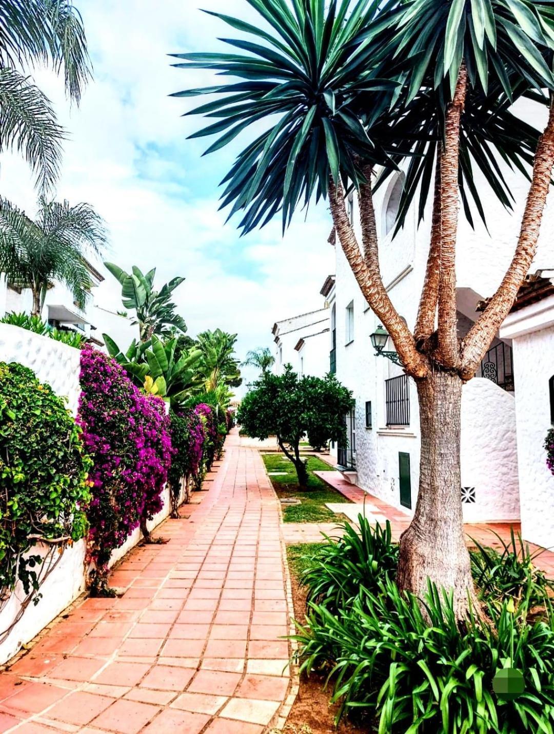 Paraiso Y Mar Apartment Estepona Exterior foto